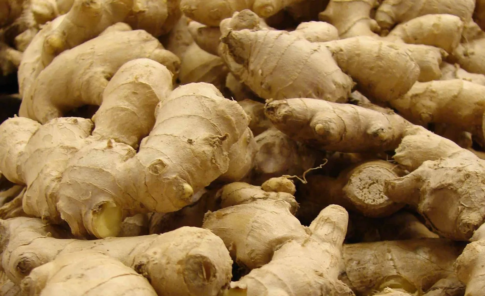 Dry Ginger